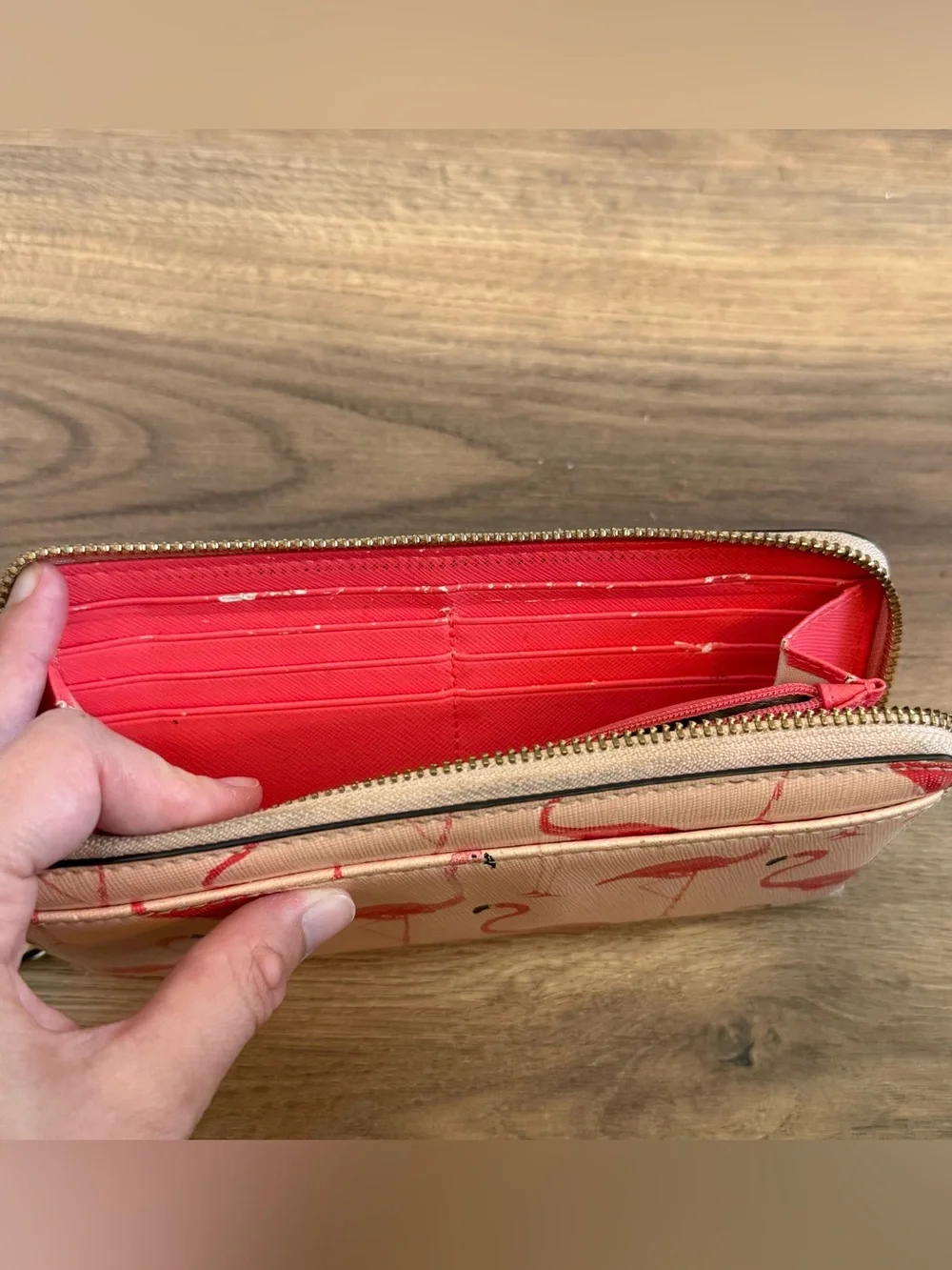 kate spade kate spade